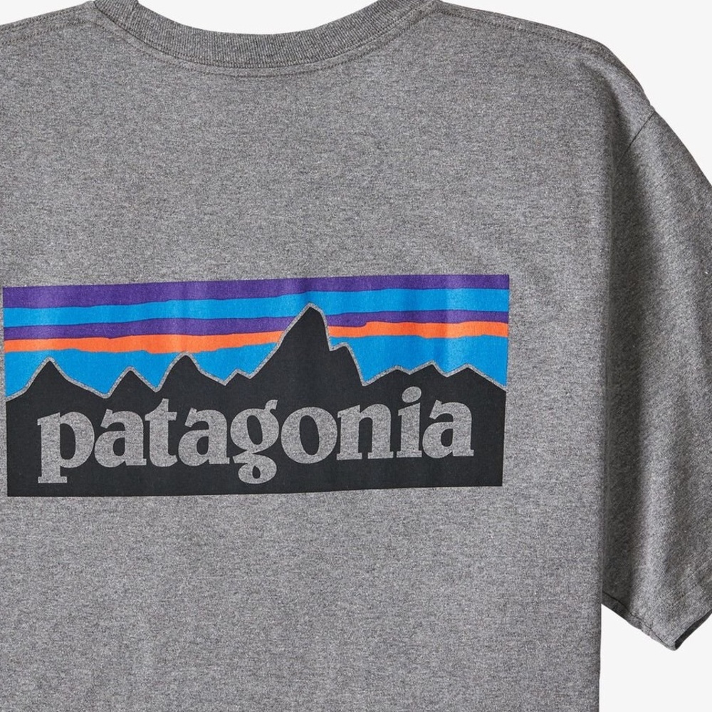 Patagonia Gray Short Sleeve Tee with Multicolor Logo